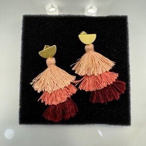 Brand new Tassel earrings ❤️